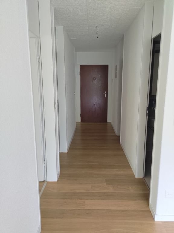 4 ½ rooms apartment (5)