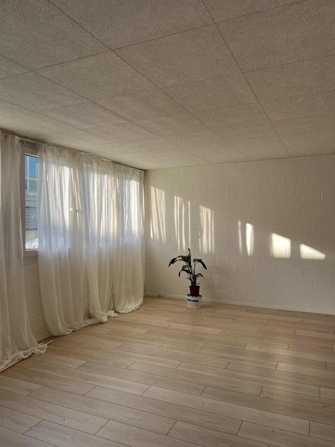 42m² office, Foto 4 von 8