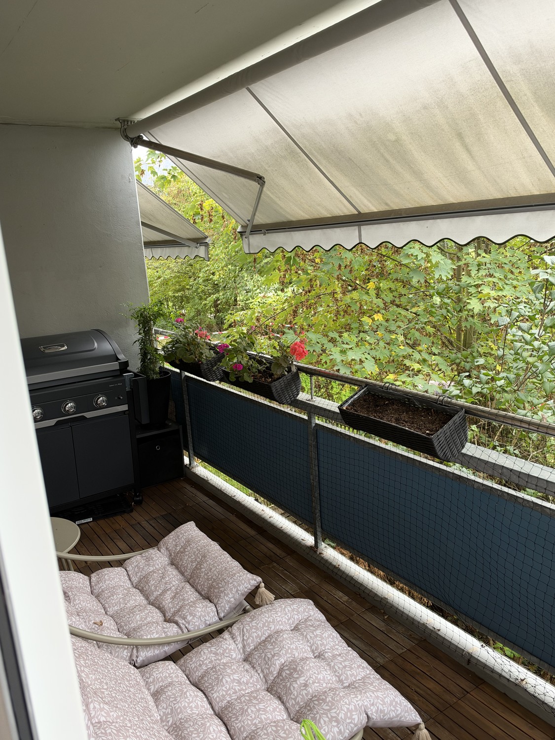 Appartement de 2 ½ pièces