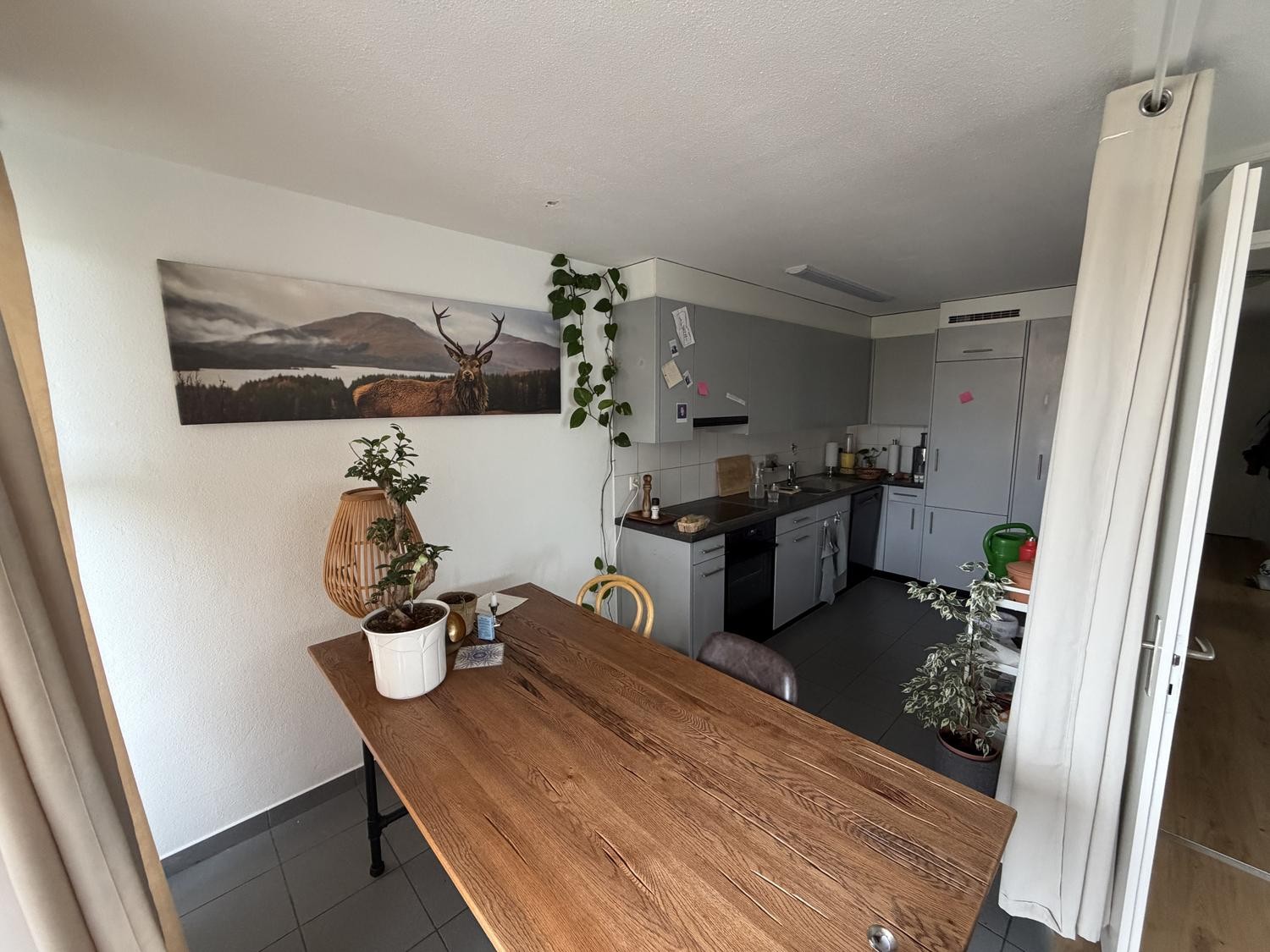 2 ½ rooms apartment