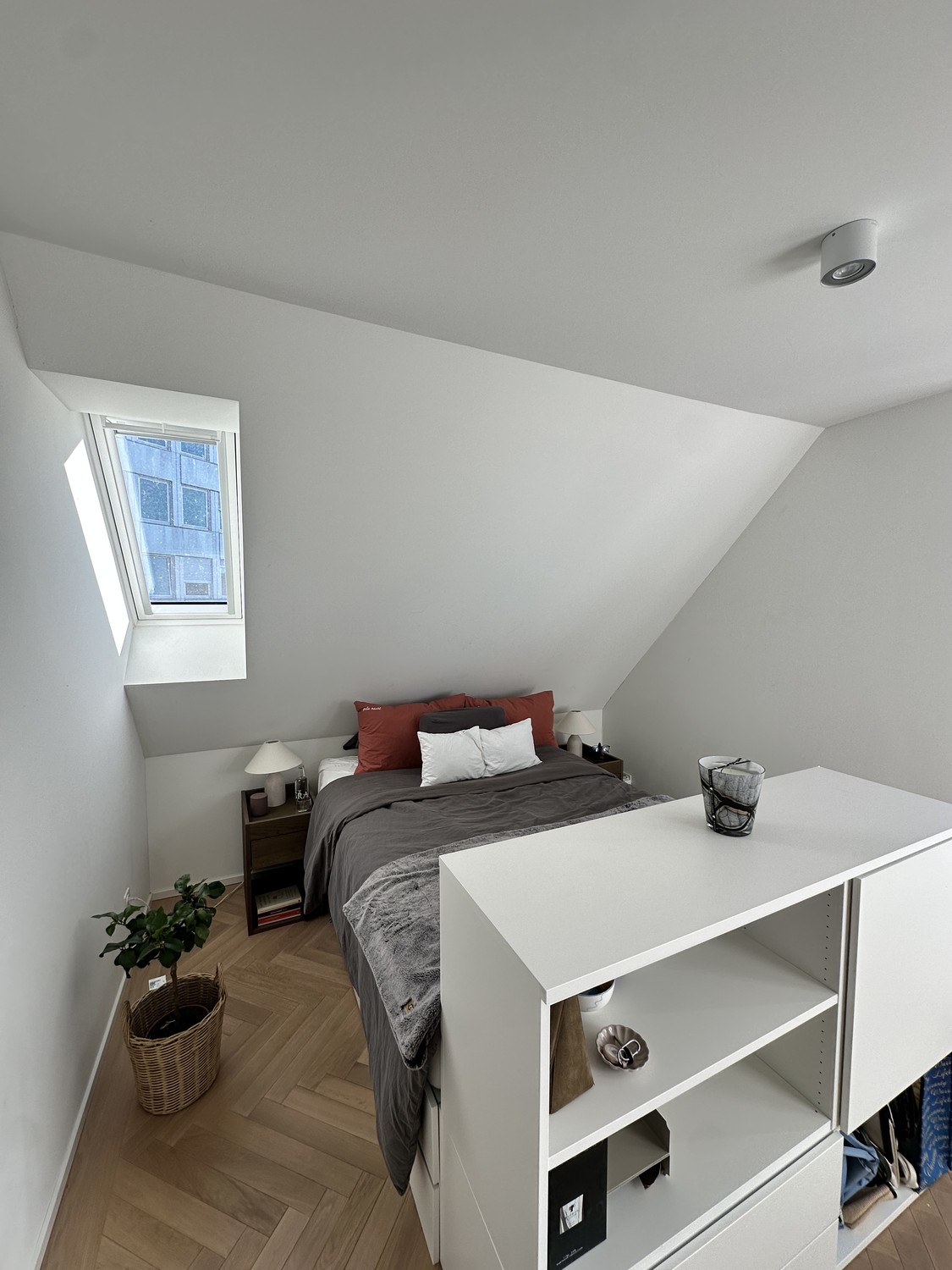Room in a shared flat