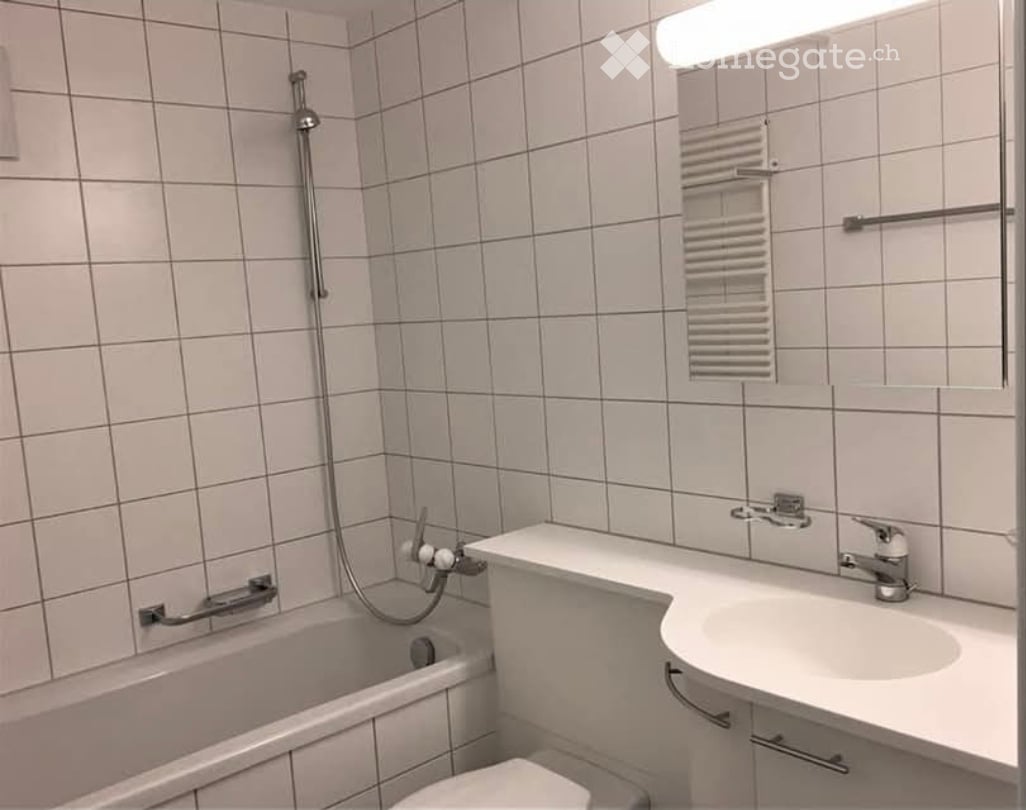 Appartement de 3 ½ pièces