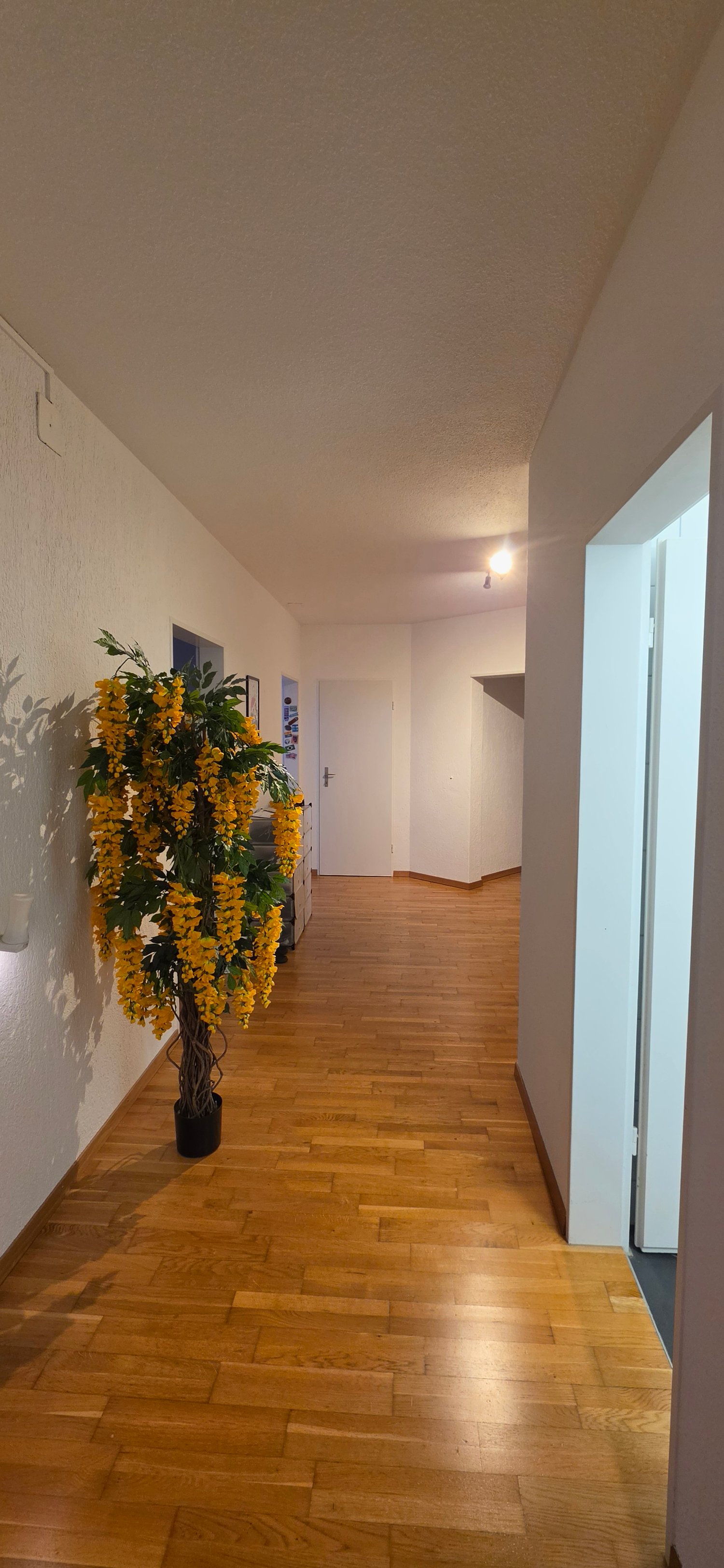 Camera in un appartamento condiviso