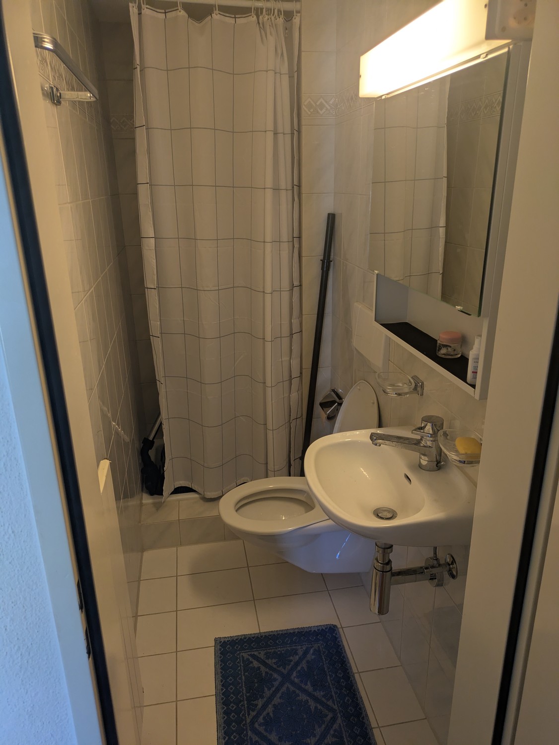 Appartement de 3 ½ pièces