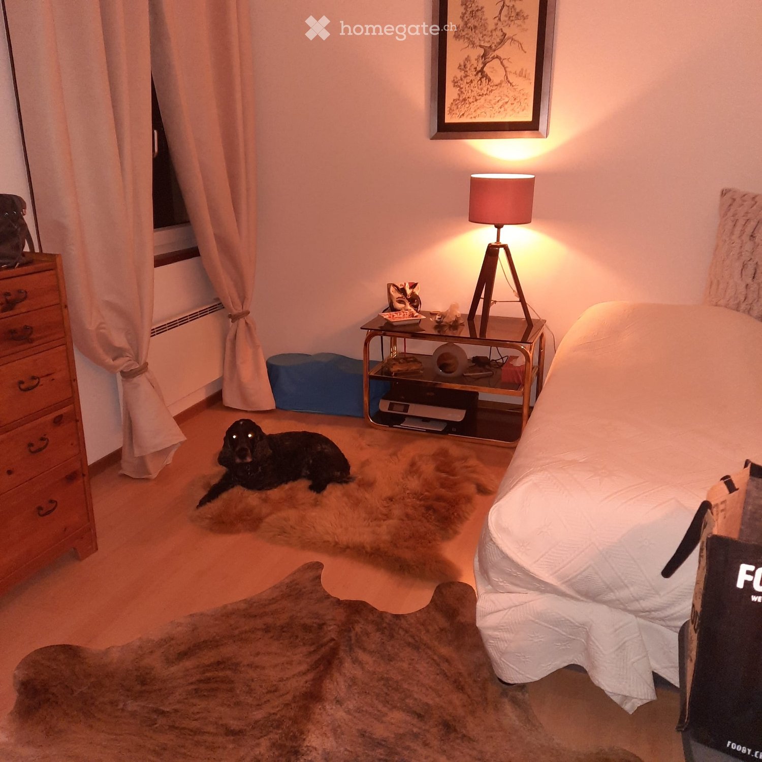3 ½ Zimmer Wohnung, Foto 3 von 5