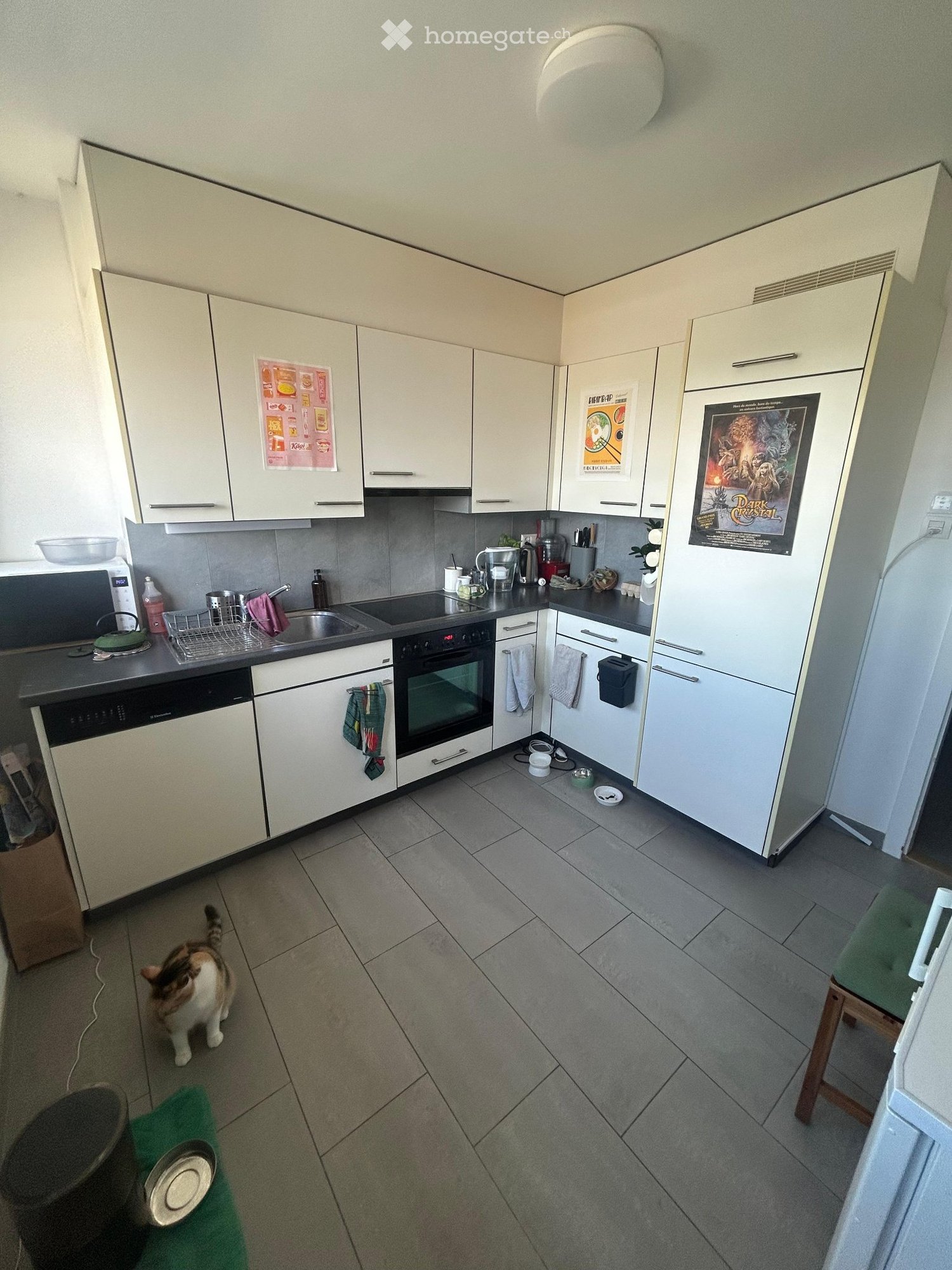 3 ½ Zimmer Wohnung