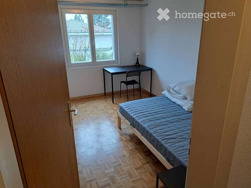 2 Zimmer Einzelzimmer