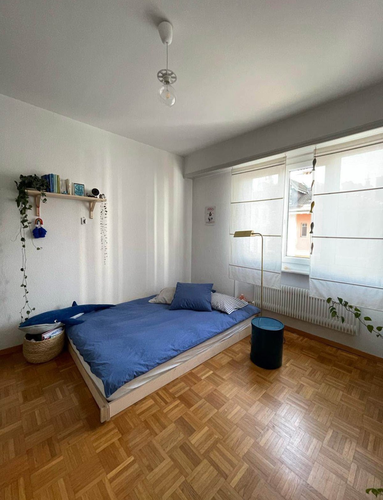 Room in a shared flat
