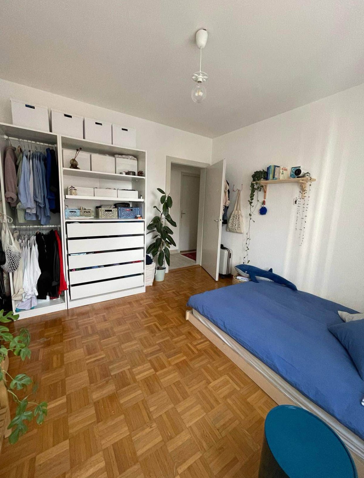 Room in a shared flat
