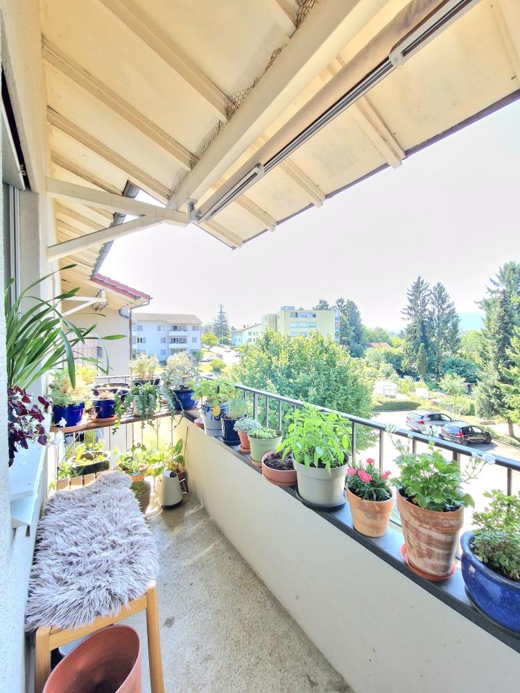 3 pièces appartement