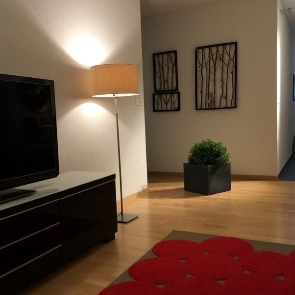 2 ½ rooms furnished flat