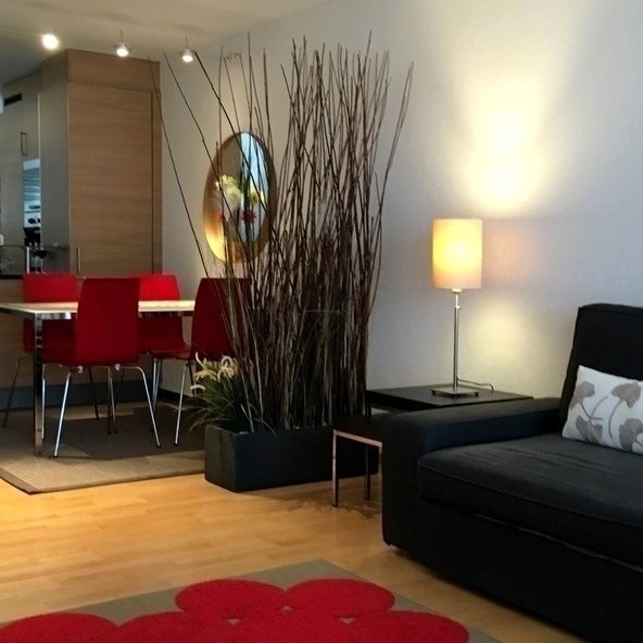2 ½ rooms furnished flat