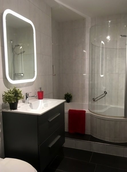 2 ½ rooms furnished flat
