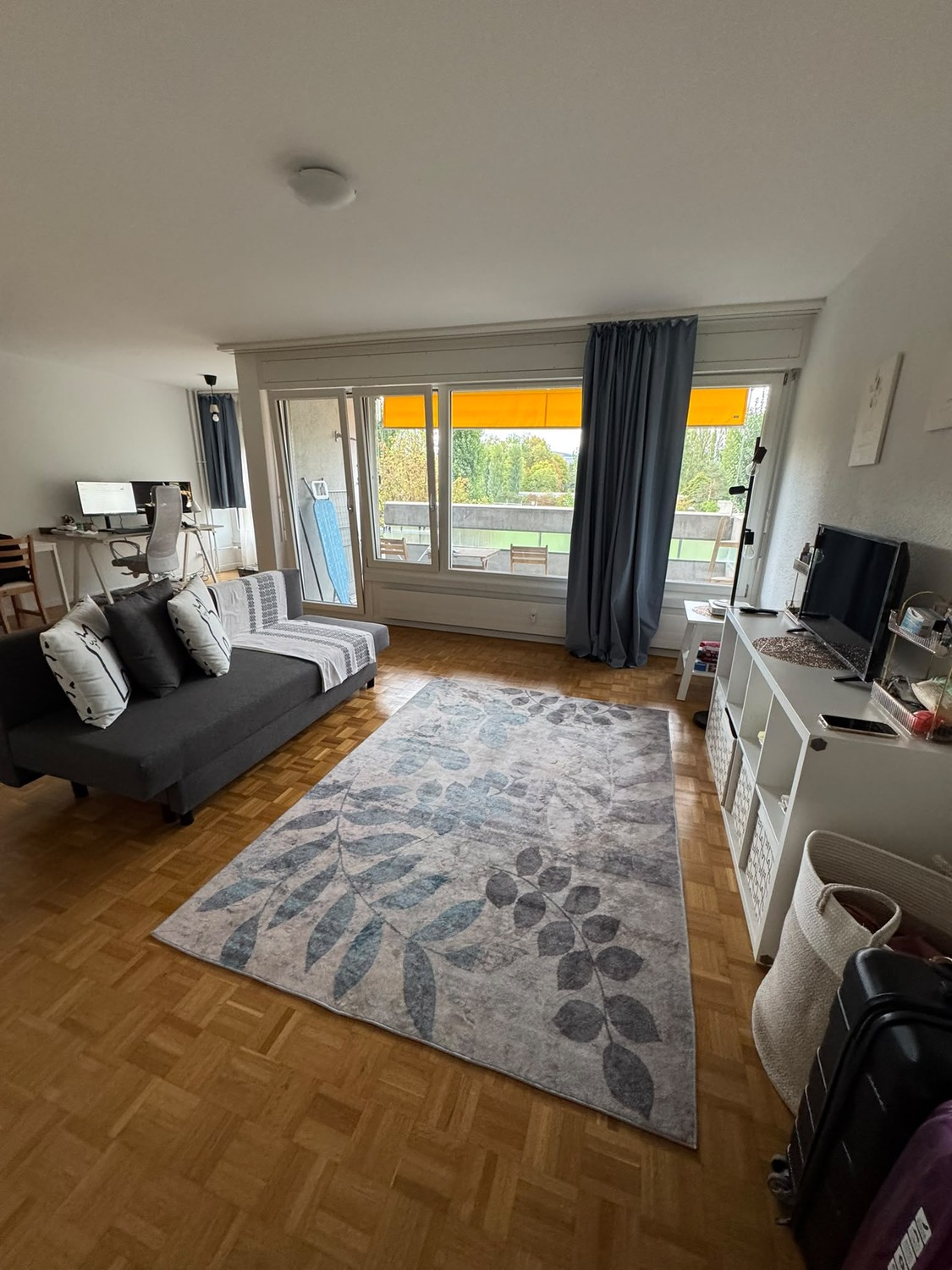 3 ½ Zimmer-Wohnung