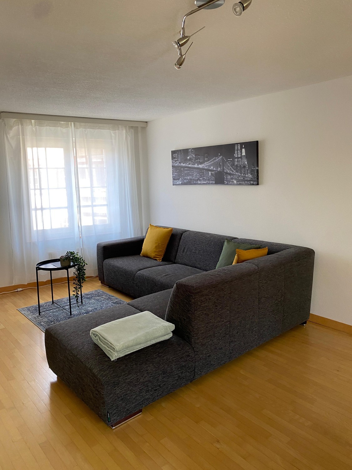 Room in a shared flat