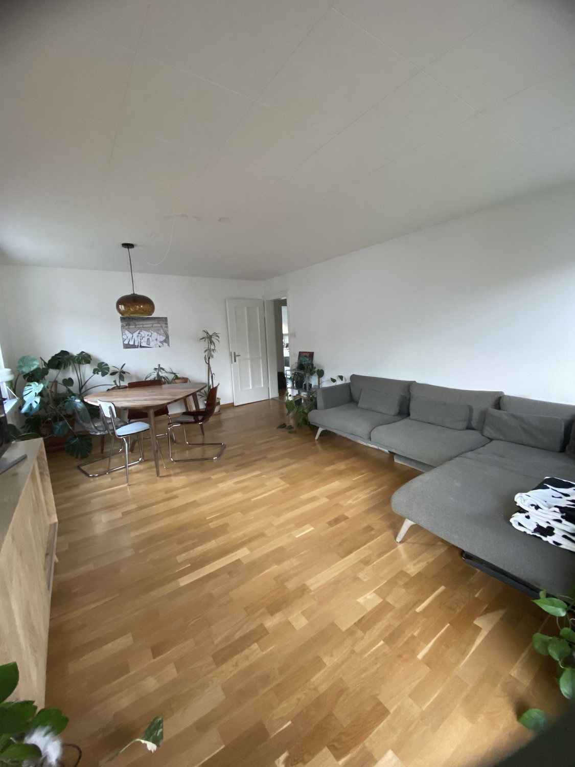 2 ½ rooms apartment, Foto 1 von 8