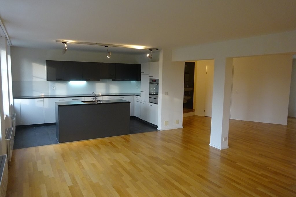 3 ½ rooms apartment, photo 2 sur 8