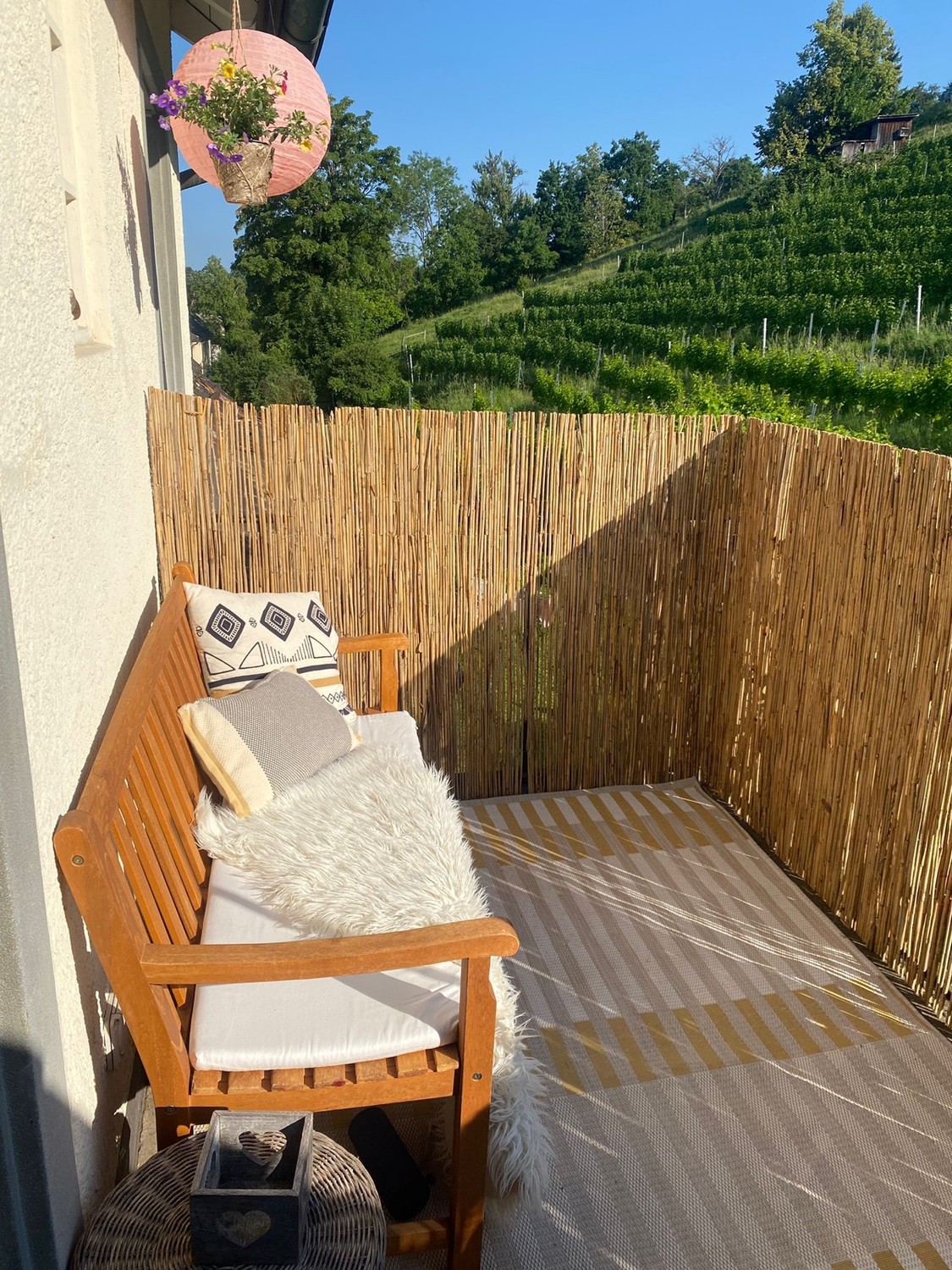 4 ½ rooms apartment