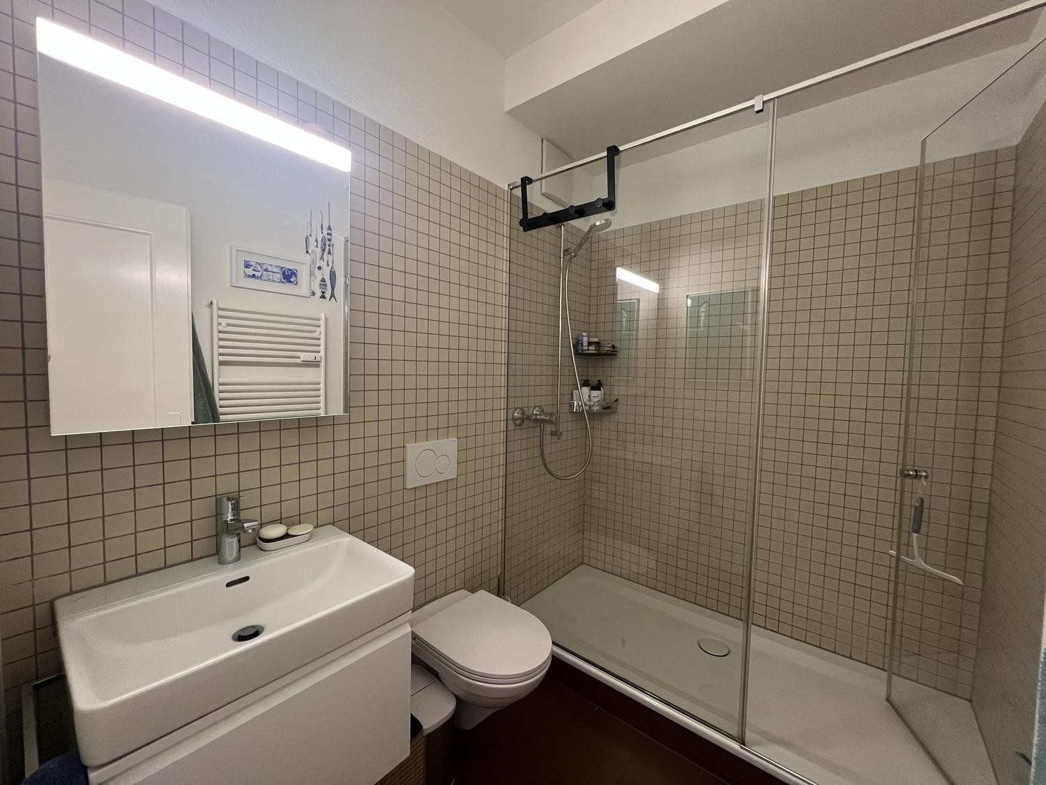 2 ½ Zimmer Wohnung, Foto 5 von 10