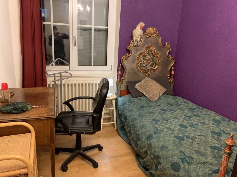 Chambre dans une colocation