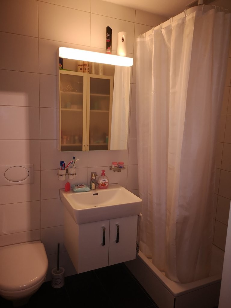 2 ½ rooms apartment, Foto 5 von 7