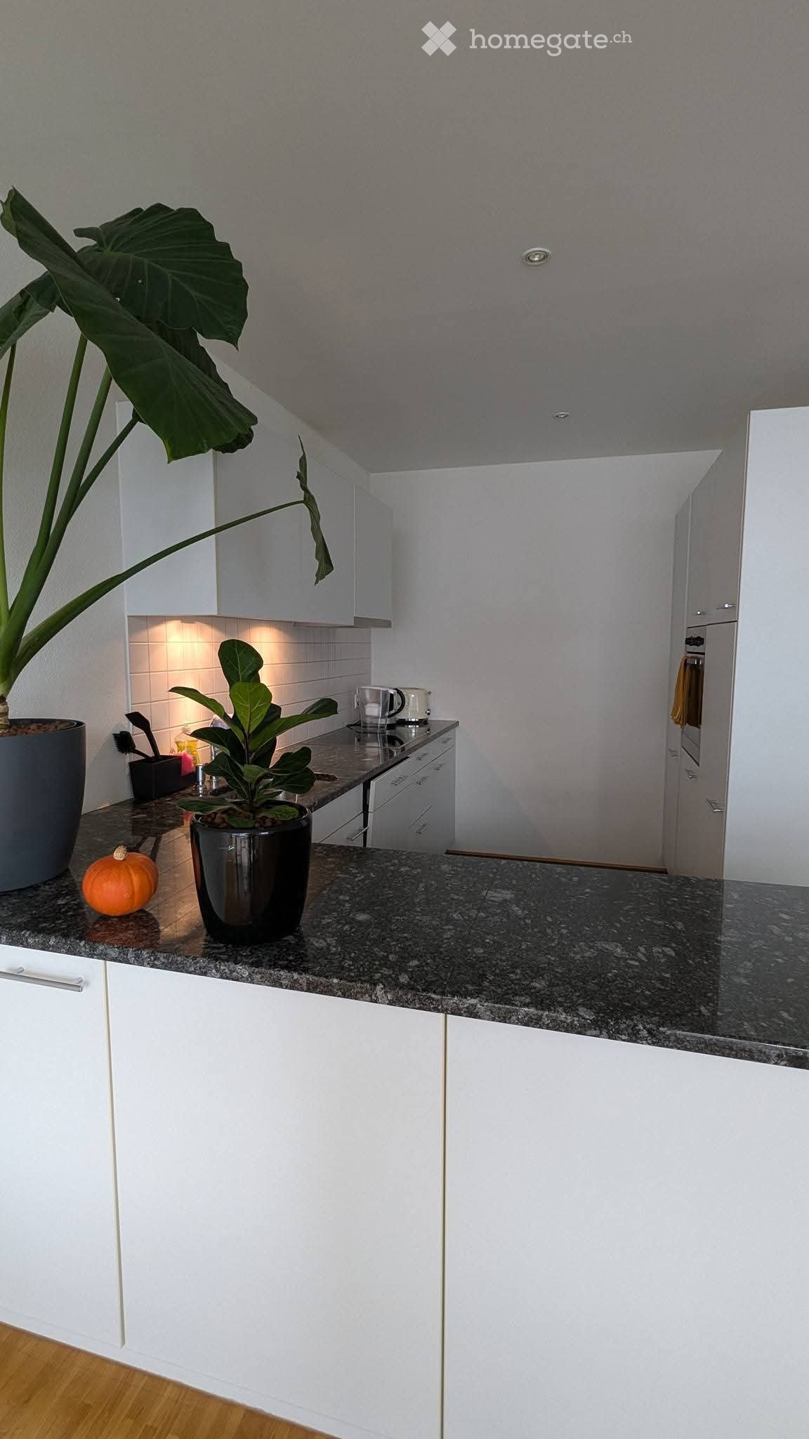 1 Zimmer Einzelzimmer (3)