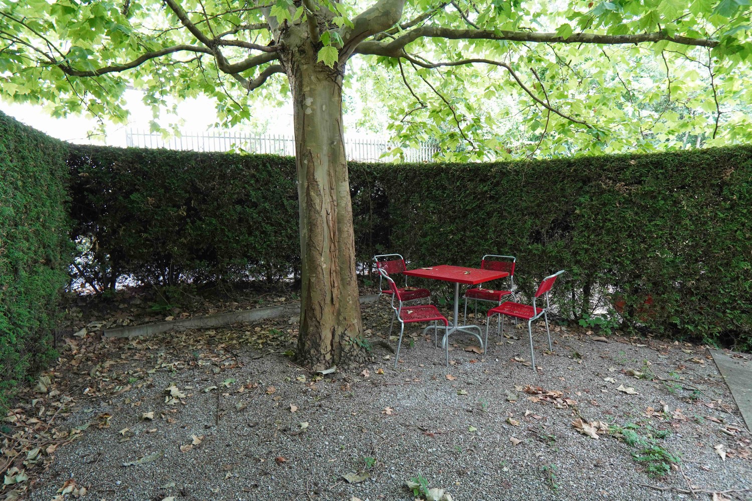 2 ½ Zimmer Wohnung, Foto 4 von 10