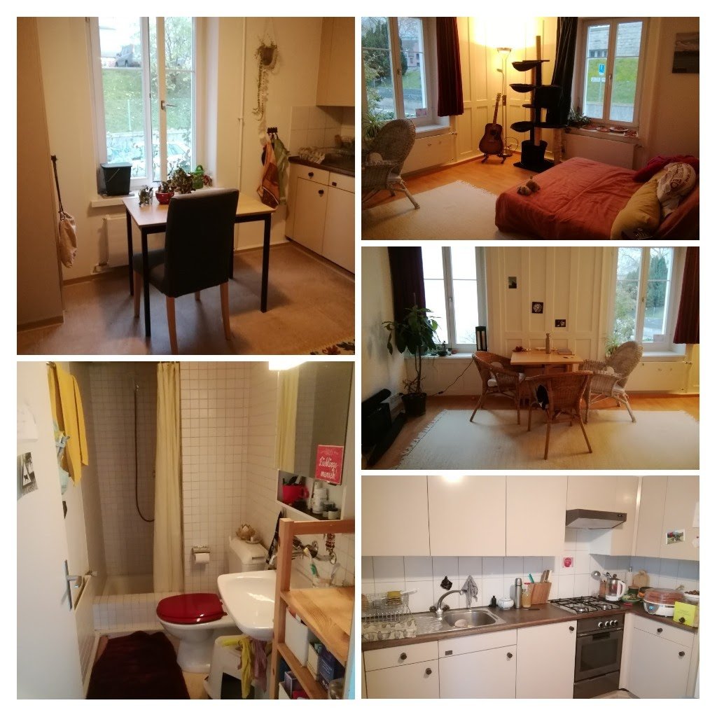 Room in a shared flat