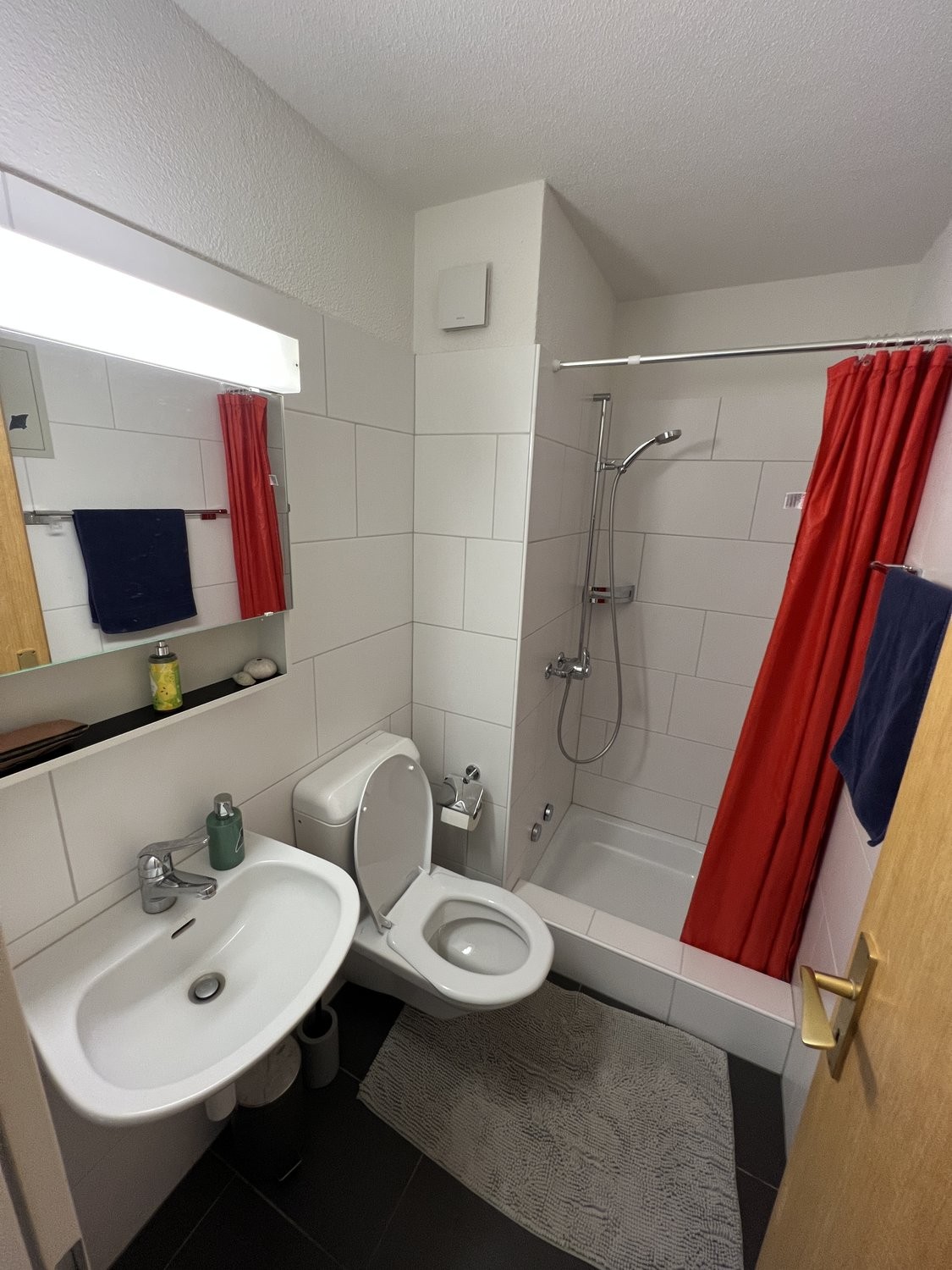 4 ½ rooms furnished flat, Foto 6 von 7