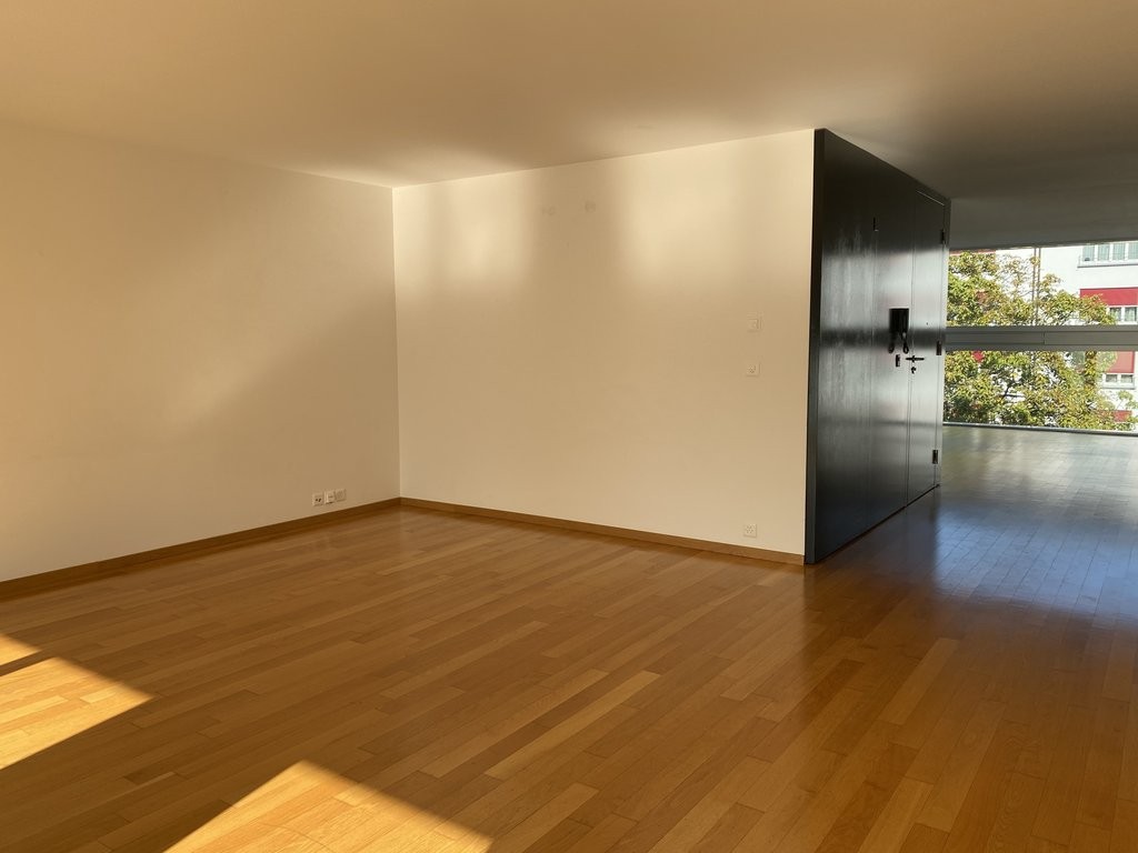 3 ½ rooms apartment (6)