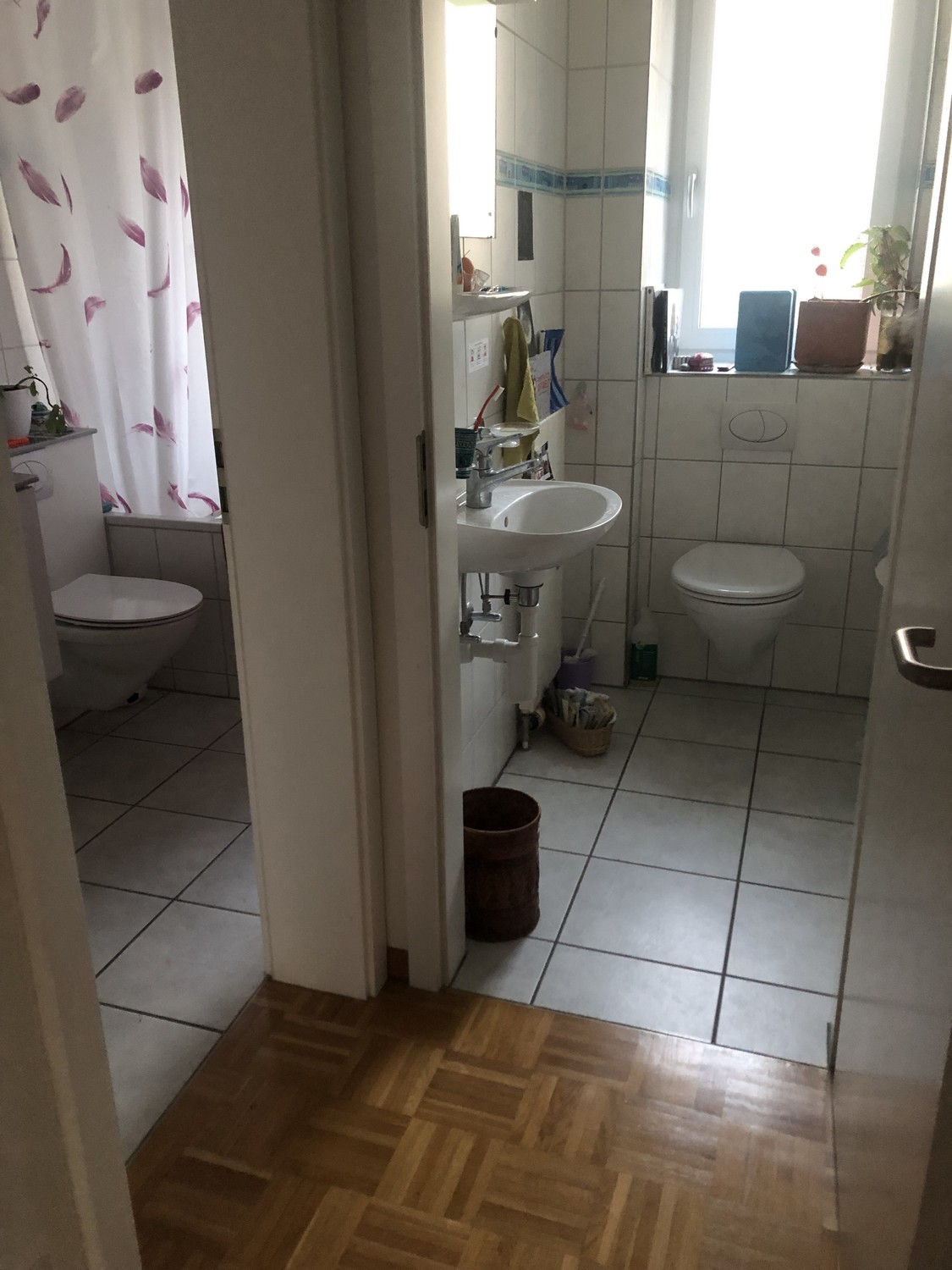 Room in a shared flat