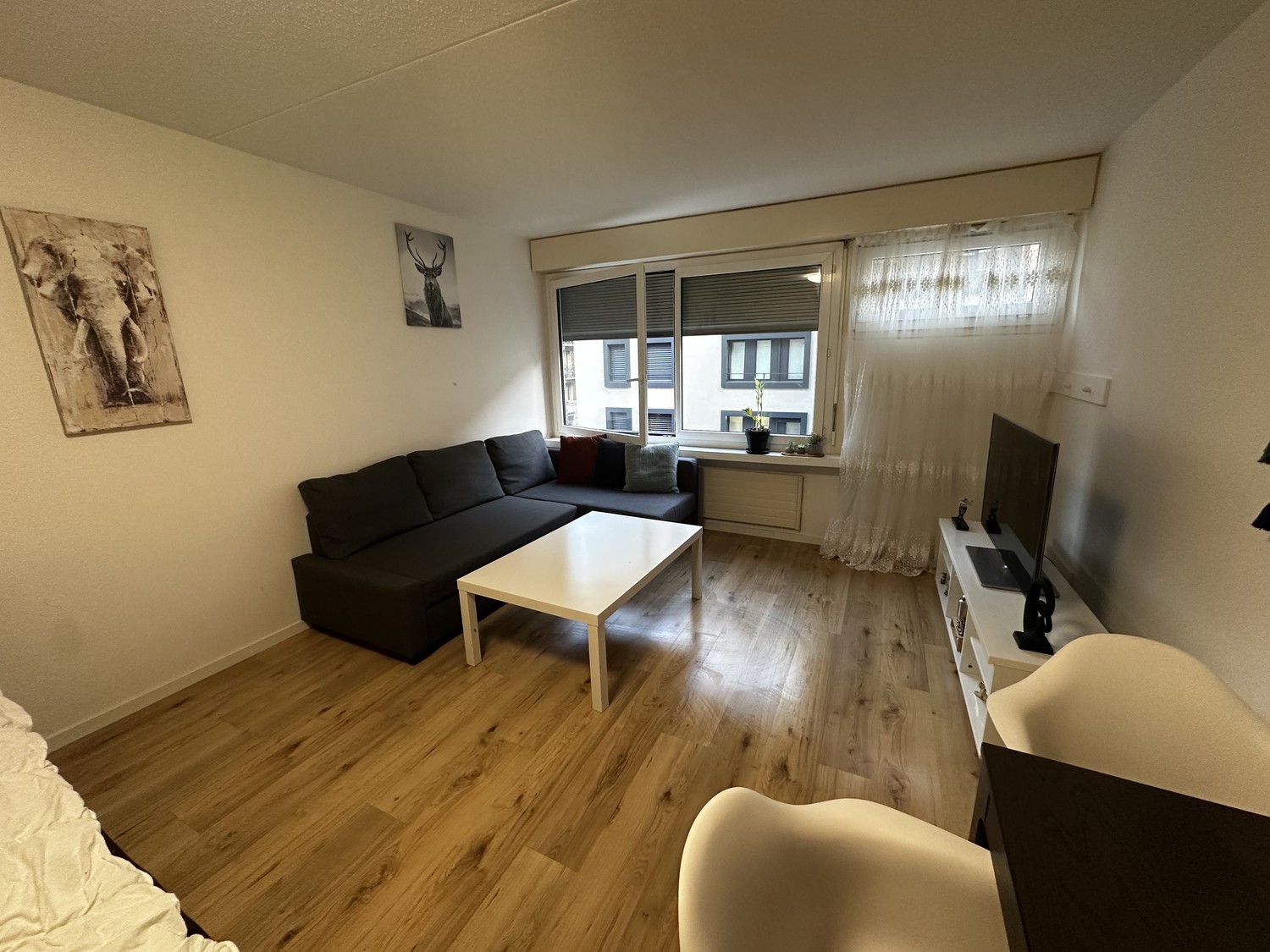 1 room apartment, Foto 2 von 2
