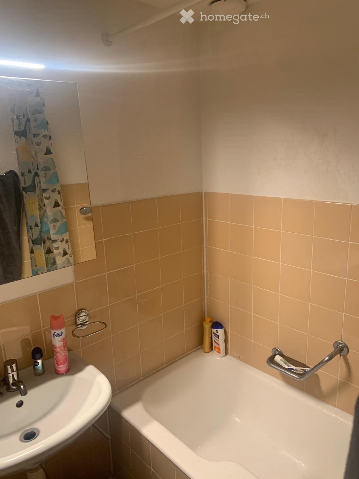 1-Zimmer-Wohnung, Foto 3 von 4