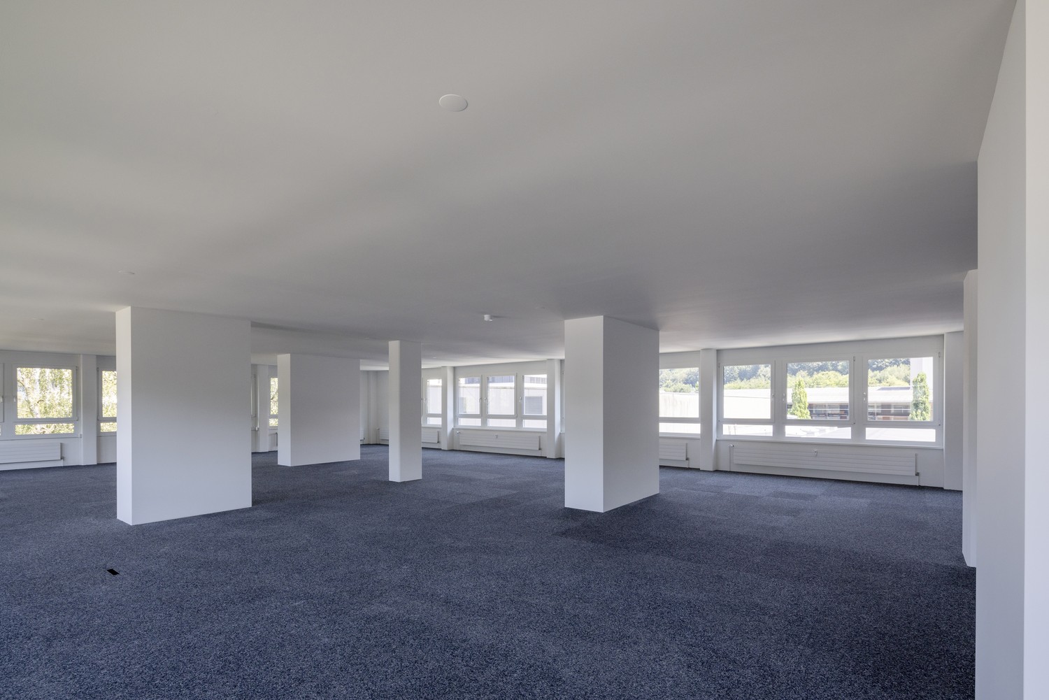 235m² office, Foto 4 von 10
