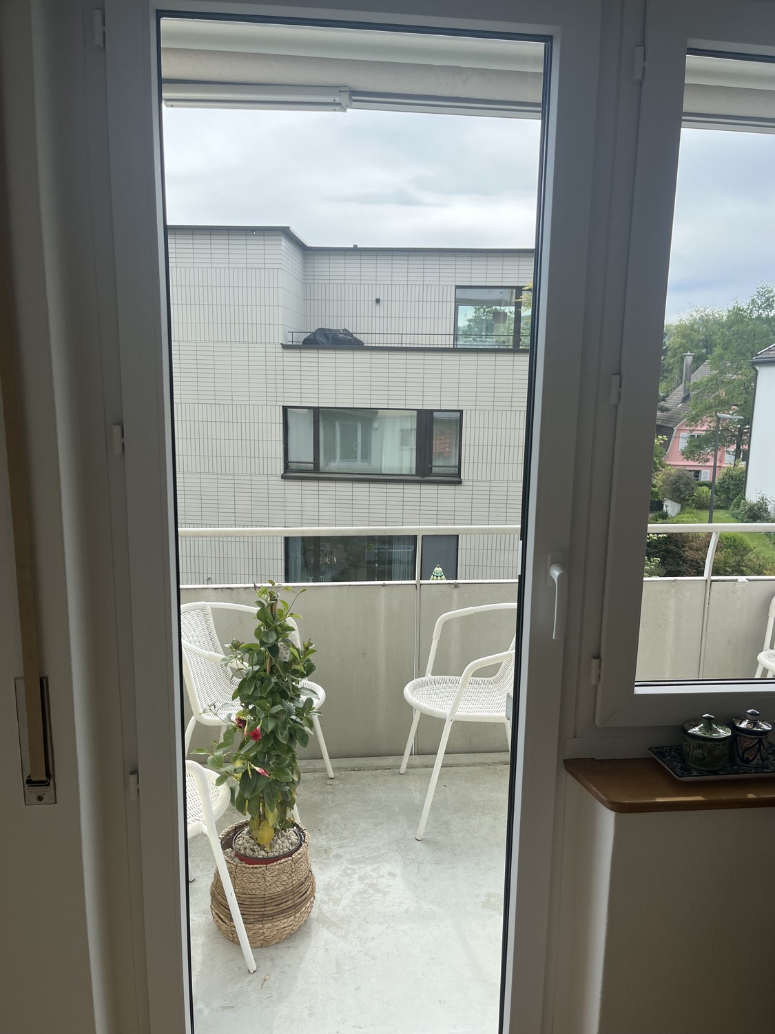 Room in a shared flat
