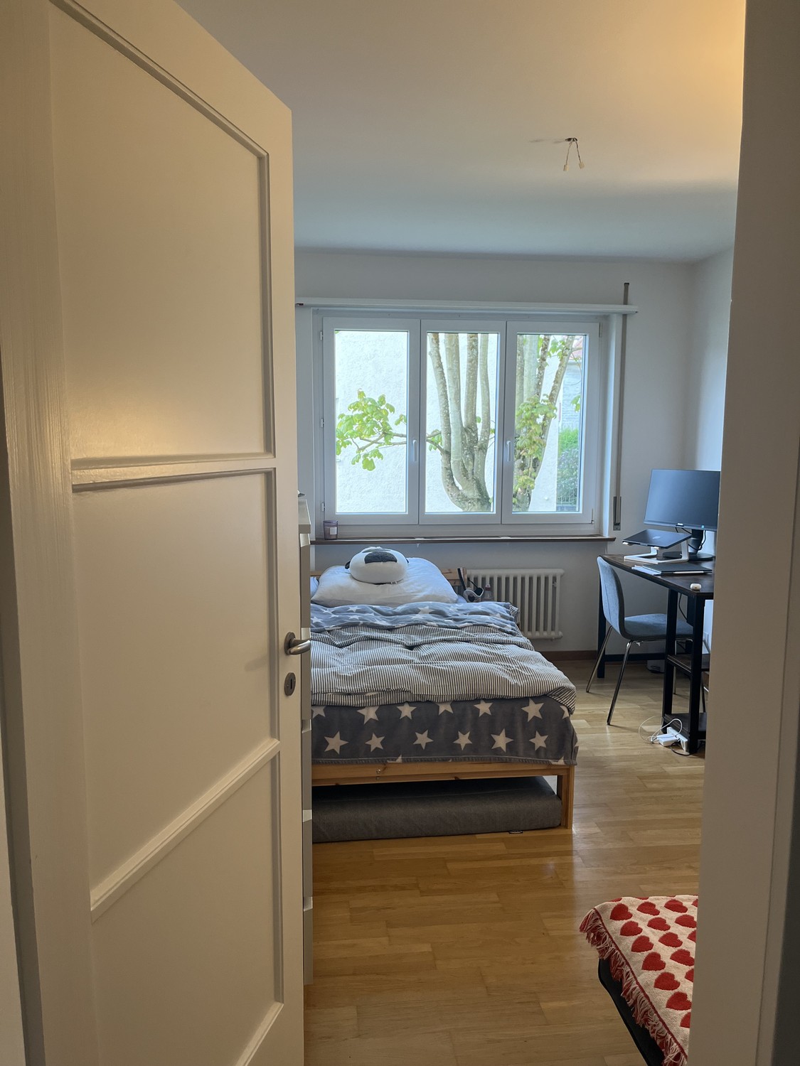 Room in a shared flat