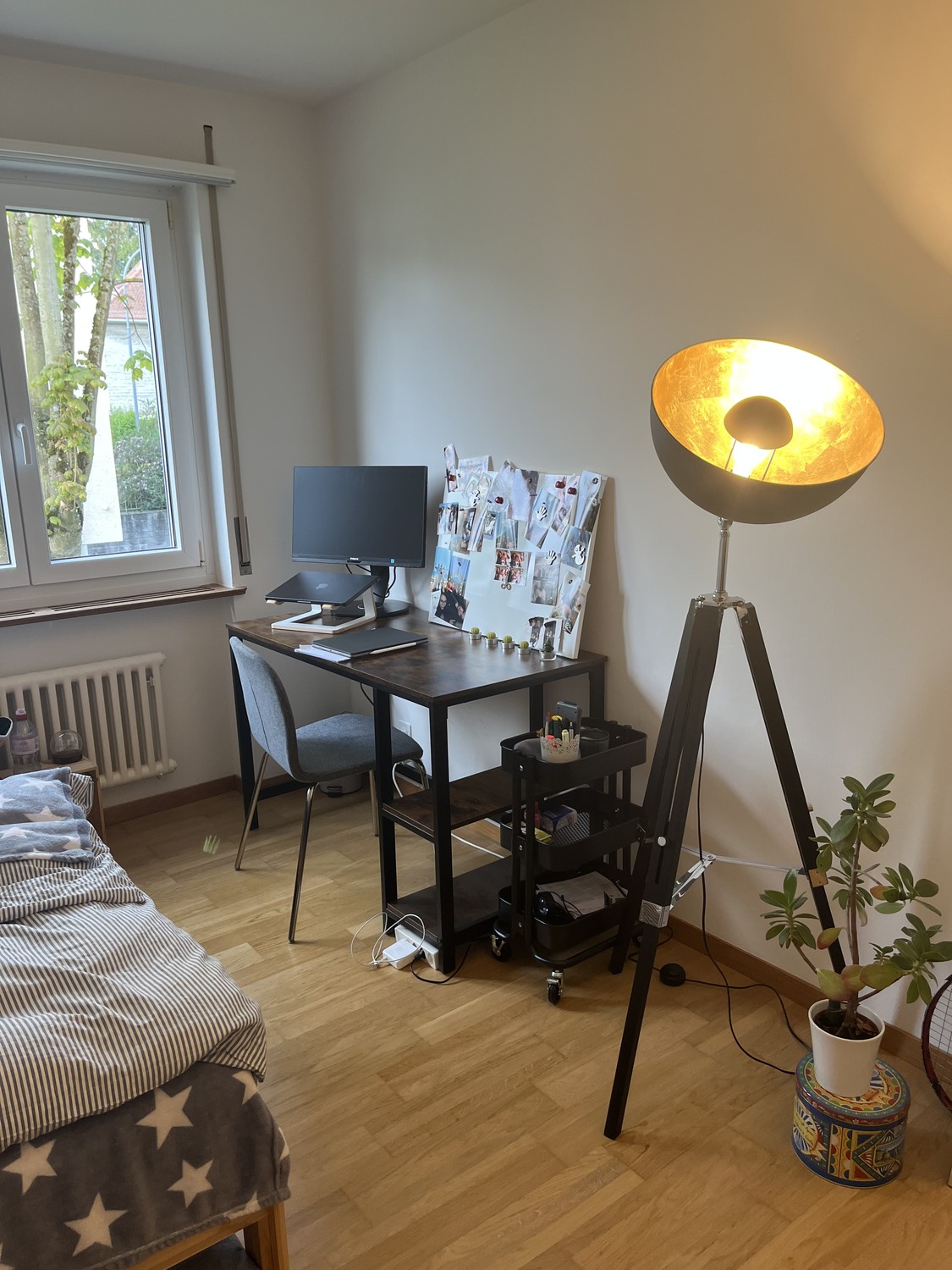 Room in a shared flat