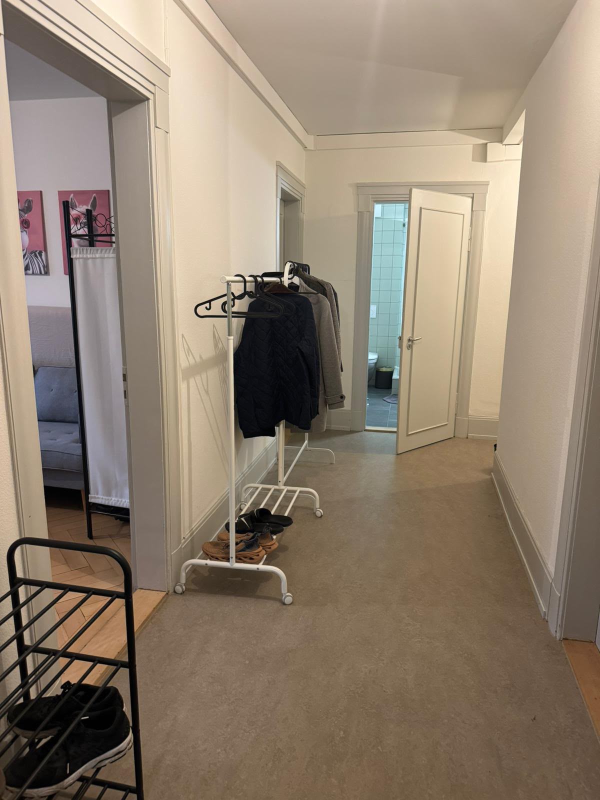 Room in a shared flat