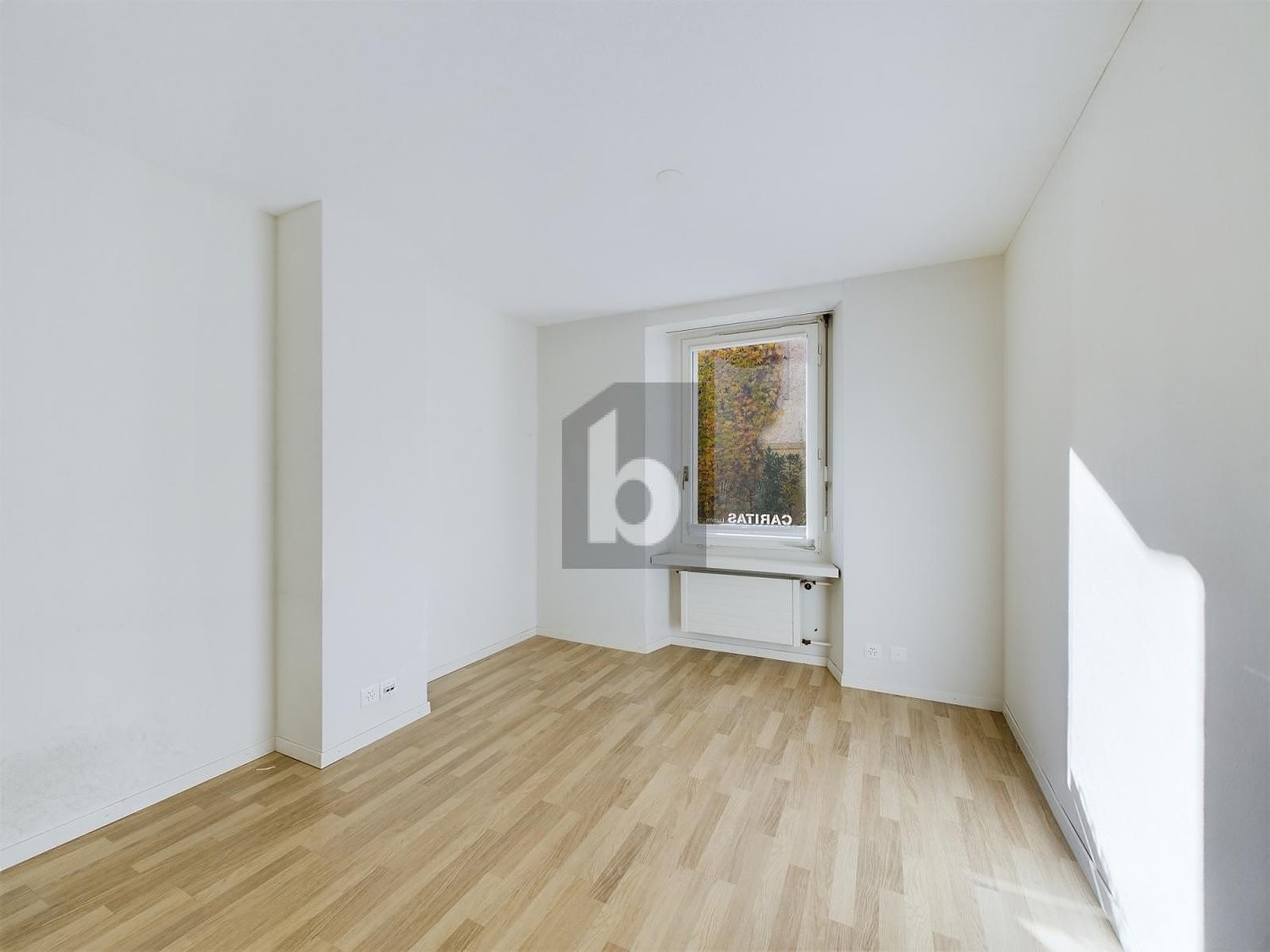 91m² office, photo 4 of 4