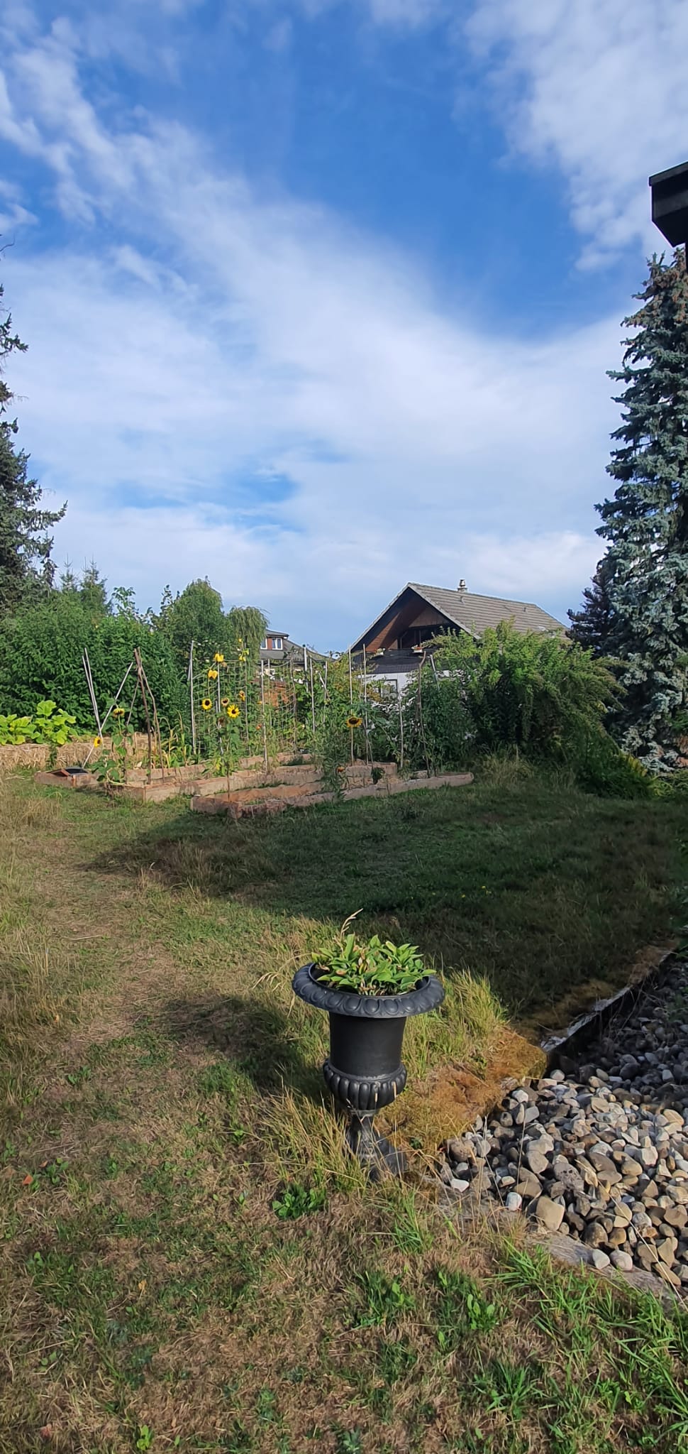Zimmer in einer WG, Foto 6 von 6