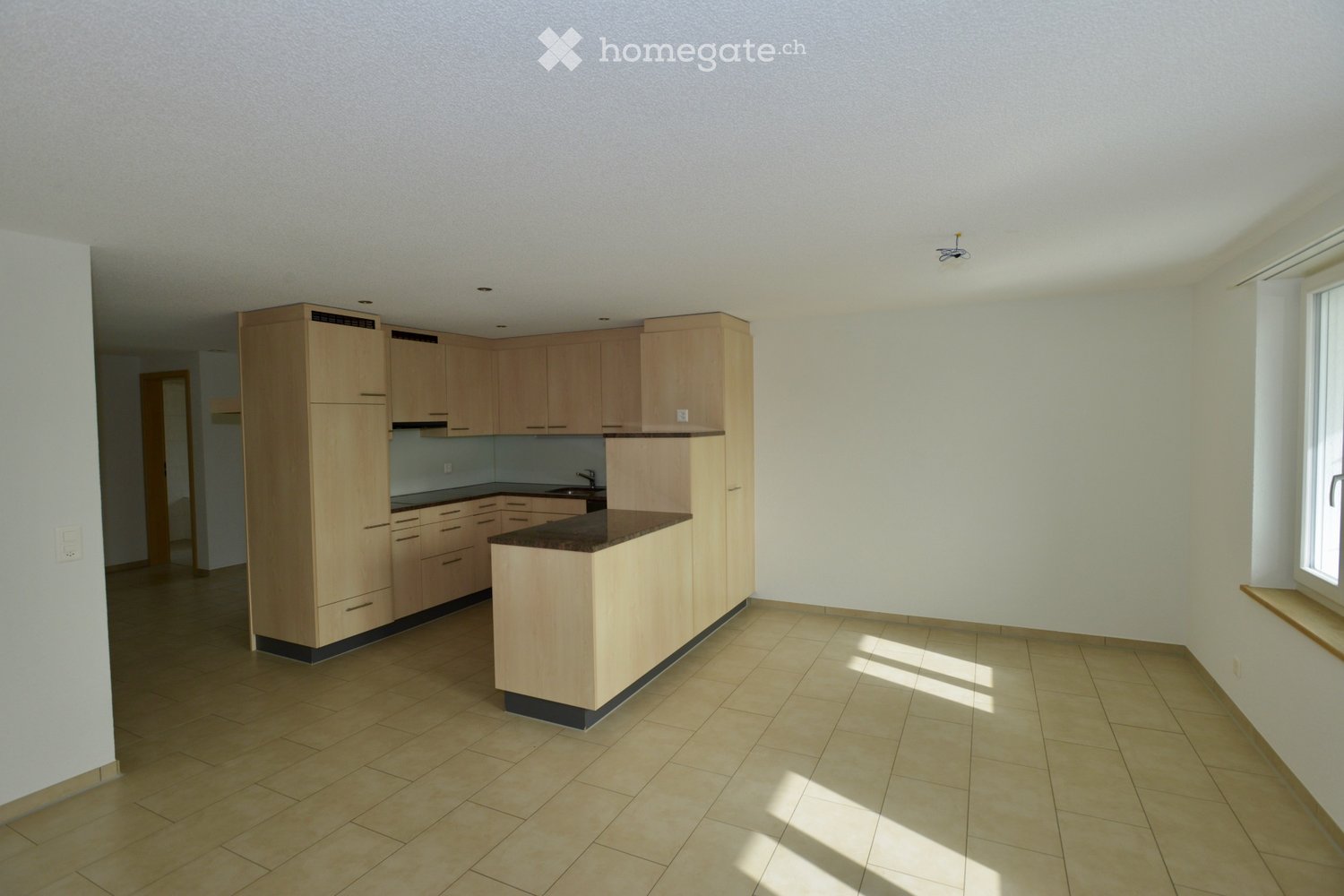 4 ½ rooms apartment (3)