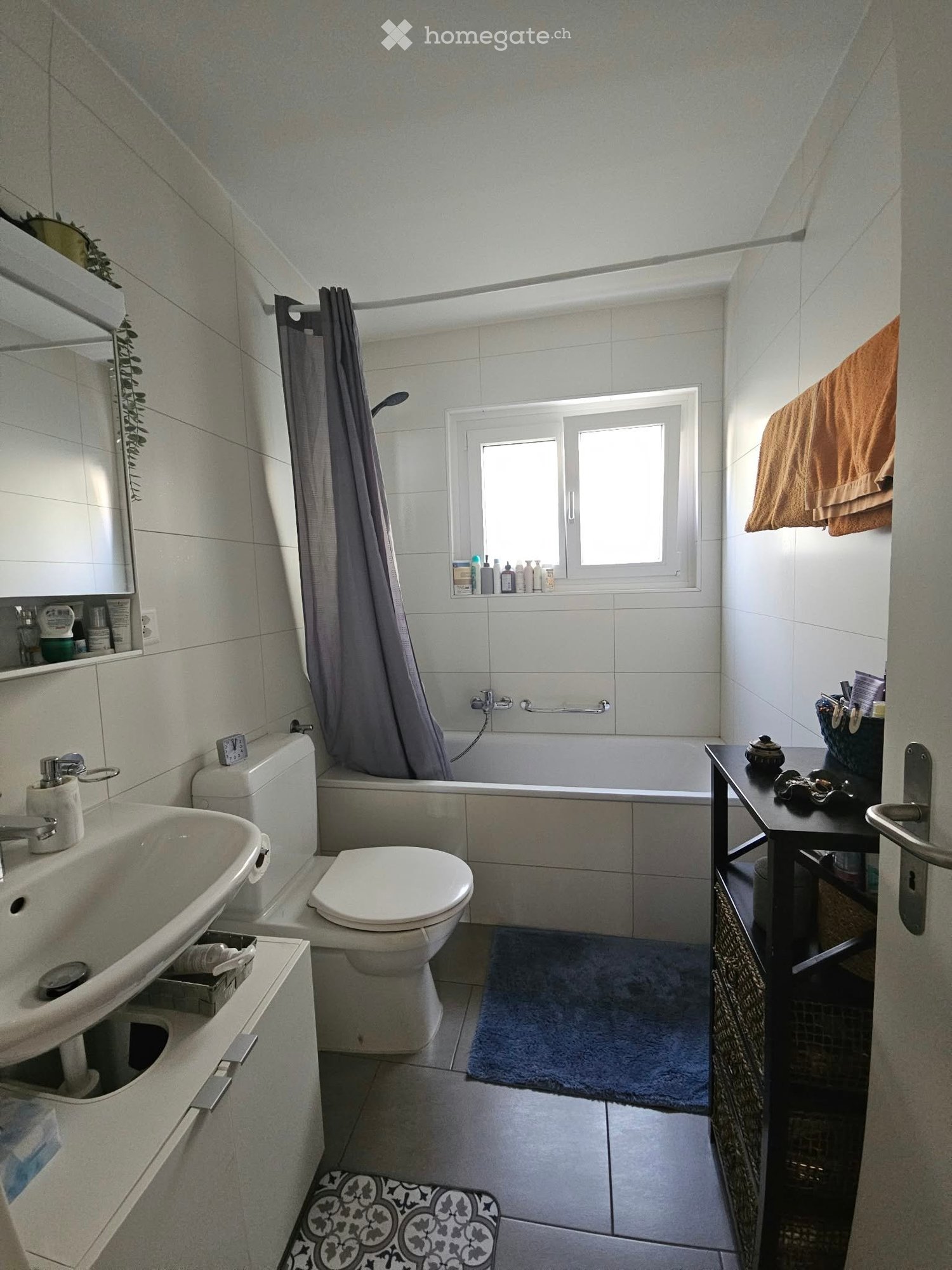 3 ½ Zimmer-Wohnung