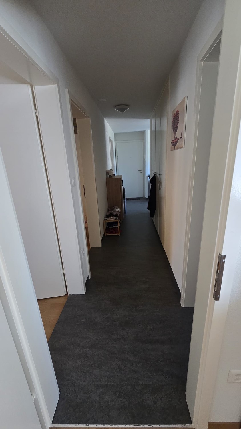 Appartement de 4 ½ pièces