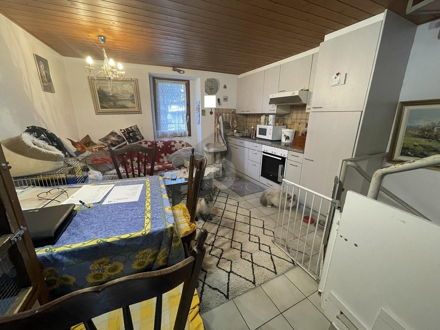 2 ½ rooms single house, Foto 1 von 4
