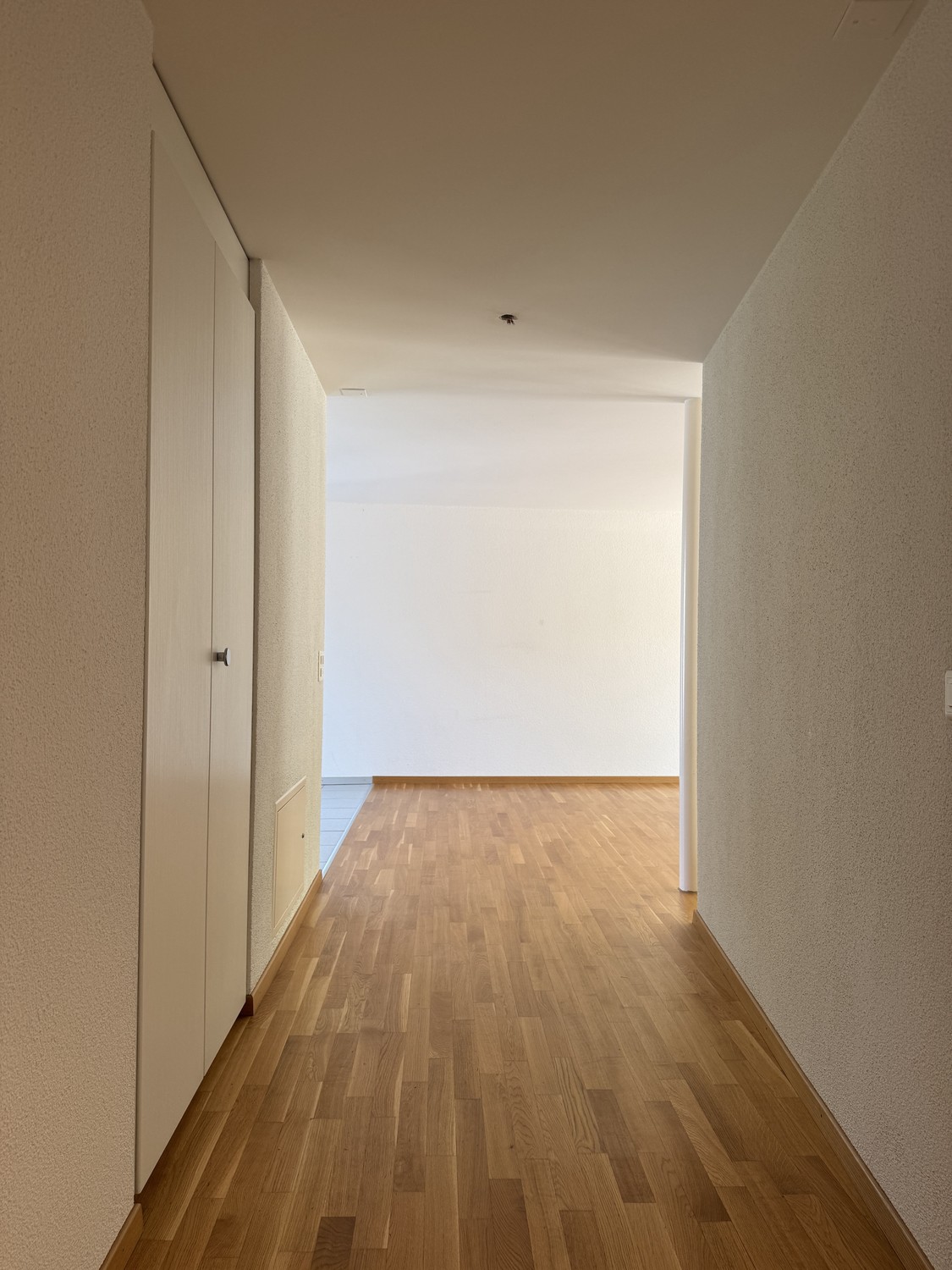 2 ½ rooms apartment, Foto 5 von 6