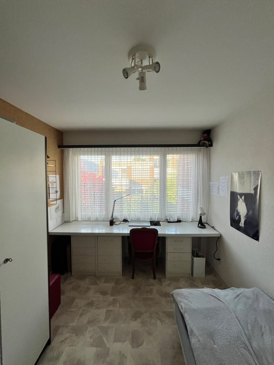 Room in a shared flat