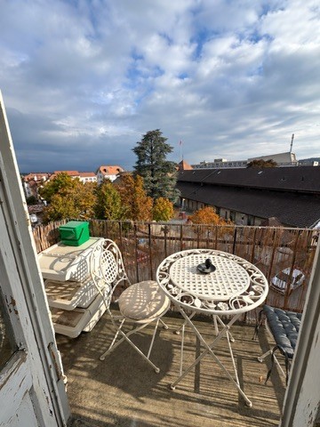 2 ½ Zimmer-Wohnung