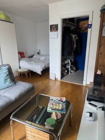 2 ½ Zimmer-Wohnung