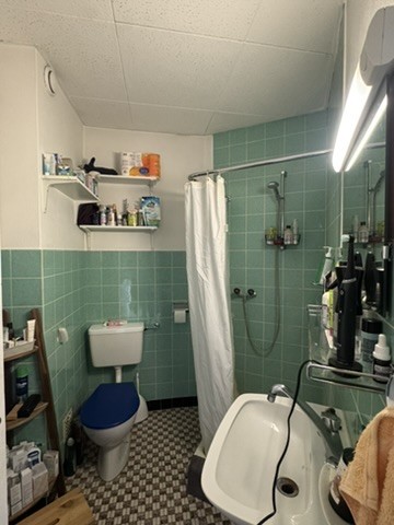2 ½ Zimmer-Wohnung