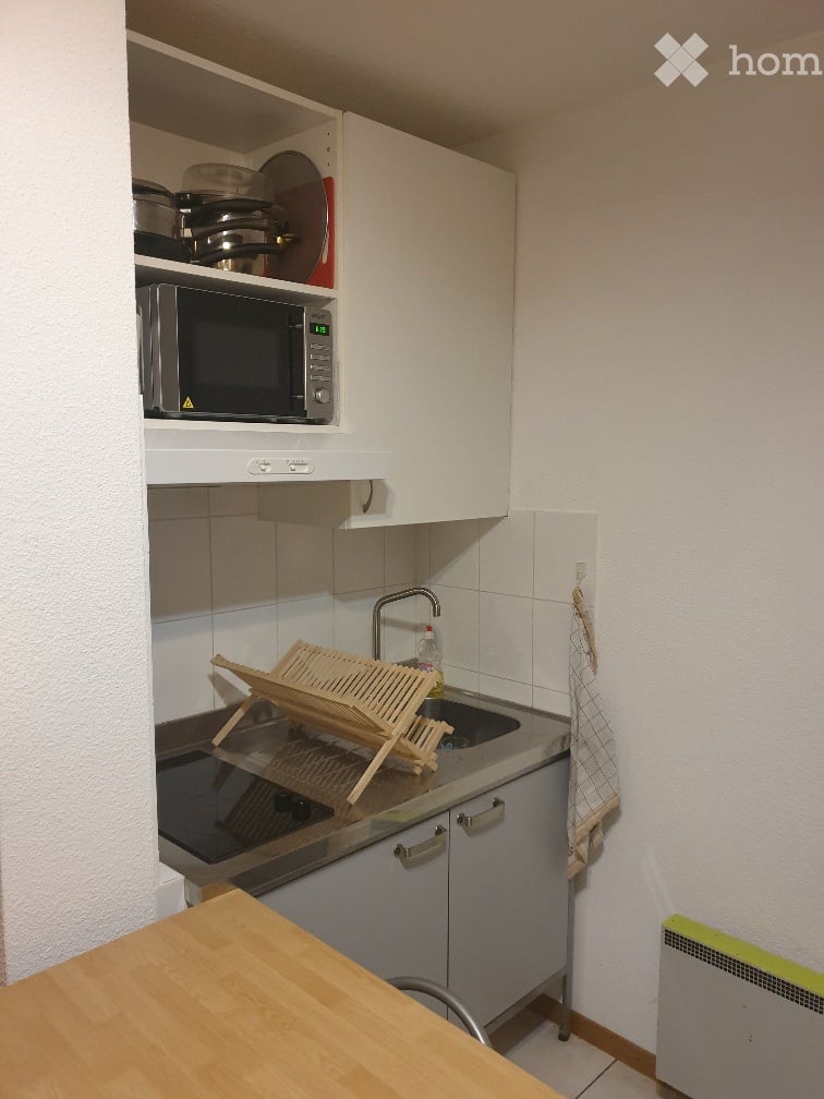 1 room apartment (4)